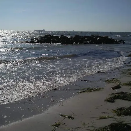 Coastal With And Sauna Tatil Evi