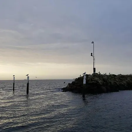Coastal With And Sauna * Spodsbjerg